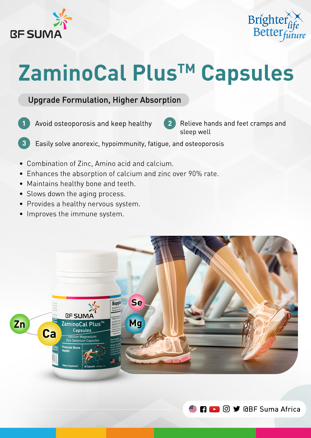 BF Suma ZaminoCal Plus Capsules 60/Bottle for Bone & Joint Care, Dietary Supplement, Promotes Bone Health, Prevent Osteoporosis, AP107E